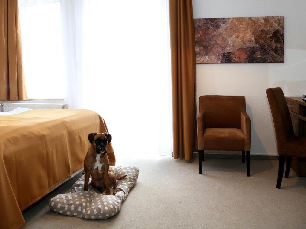 Arthotel Bad Pyrmont Εξωτερικό φωτογραφία
